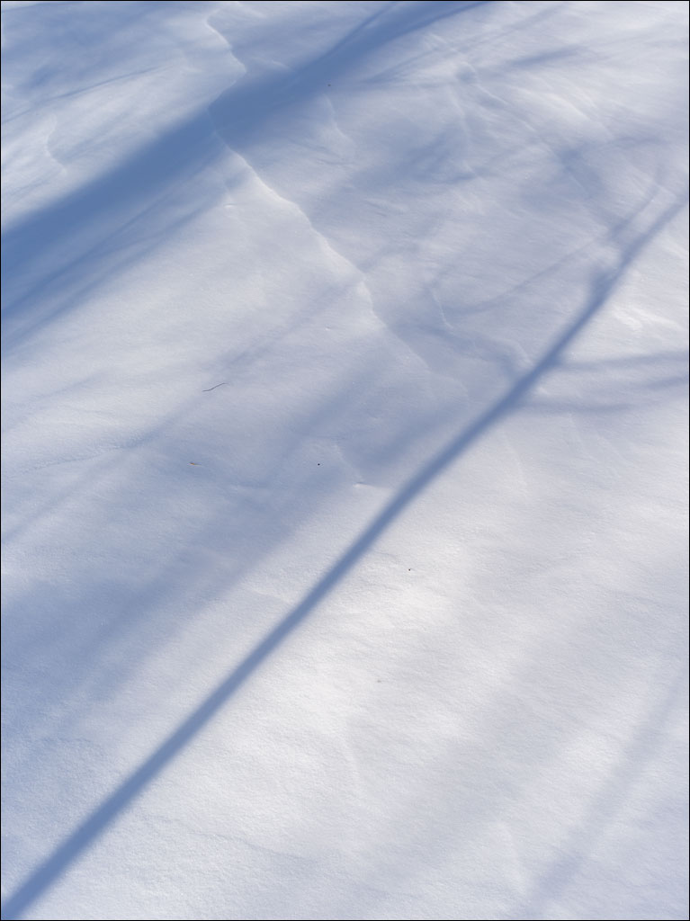 life_in_maine_shadows_drifts